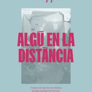 Coberta d’Algú en la distància, de Dorothy Whipple